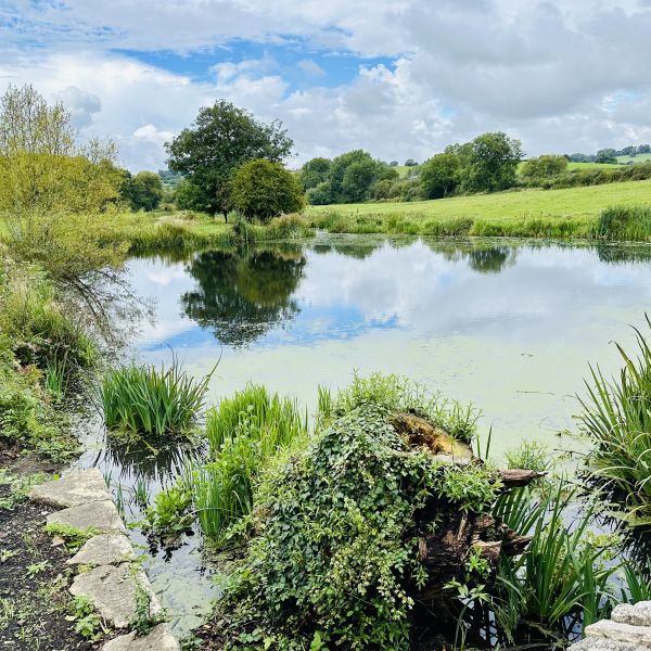  Coal Canal view